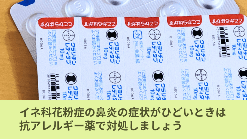 カモガヤ茶 - 株式会社 中郷屋