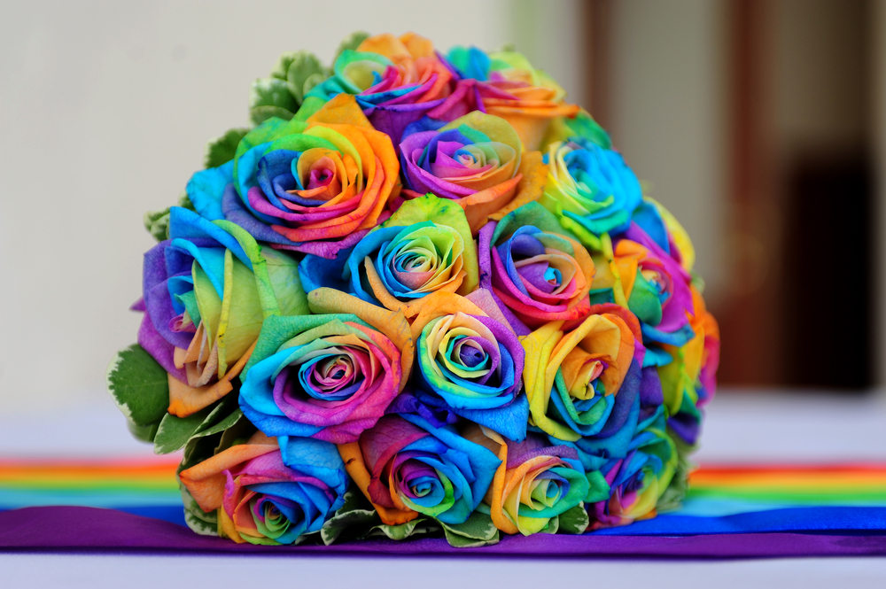 ショップ │子宝の神様 木村さん – 子宝の神様 木村さんのアイテム