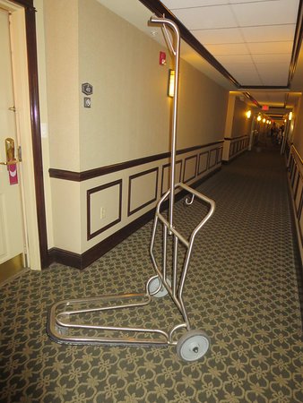 Hotel Corridors with